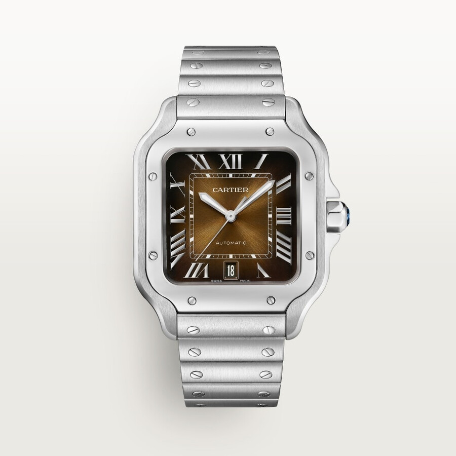santos de cartier watch