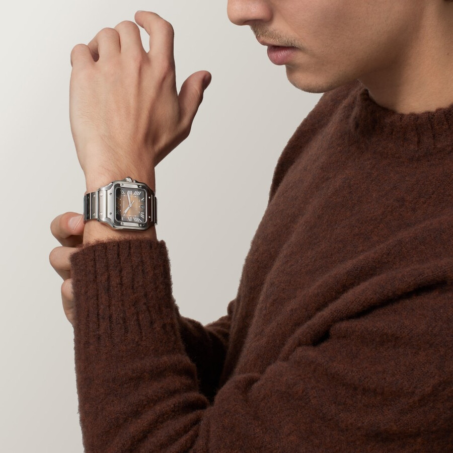 santos de cartier watch