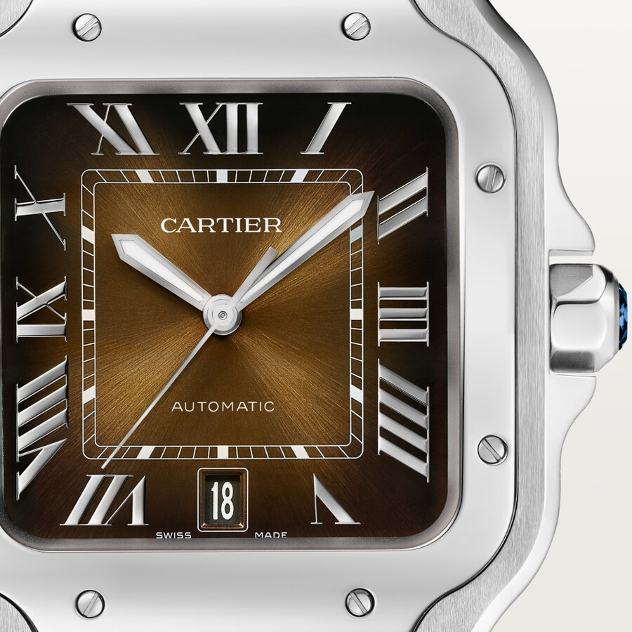 santos de cartier watch