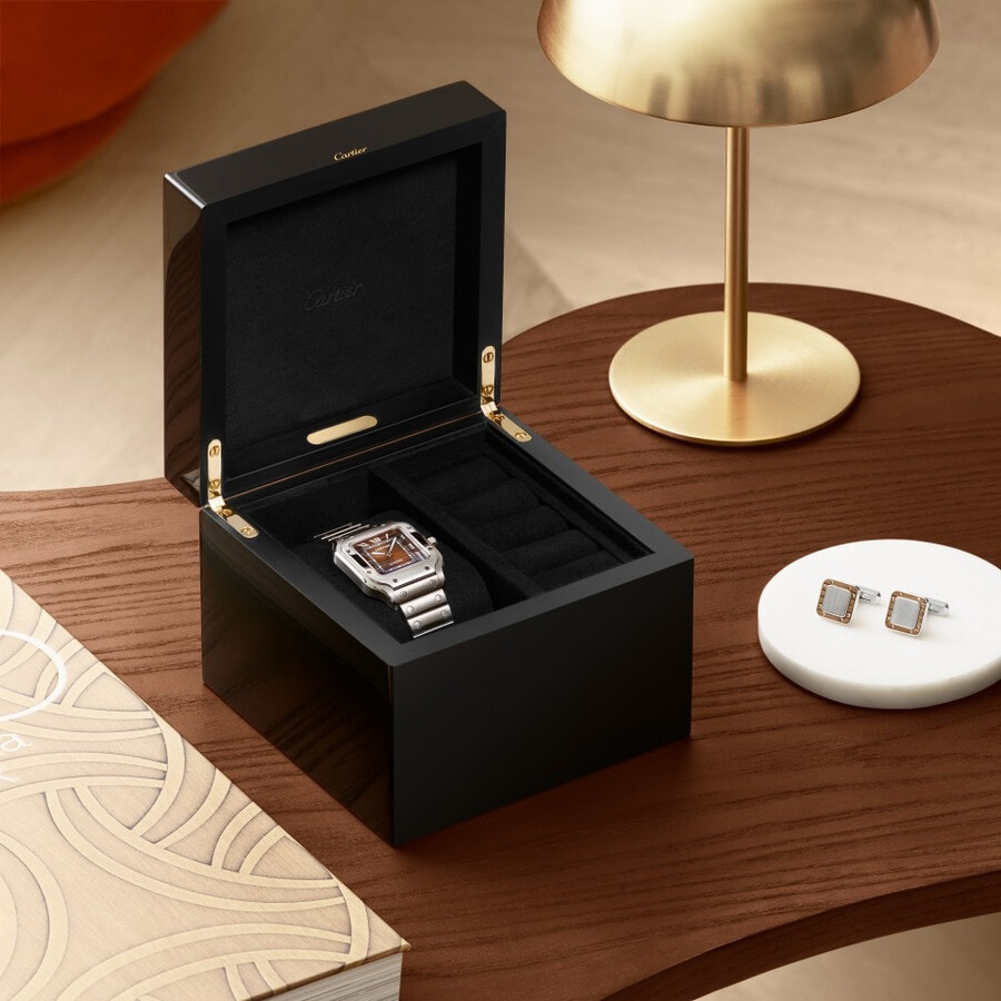 santos de cartier watch