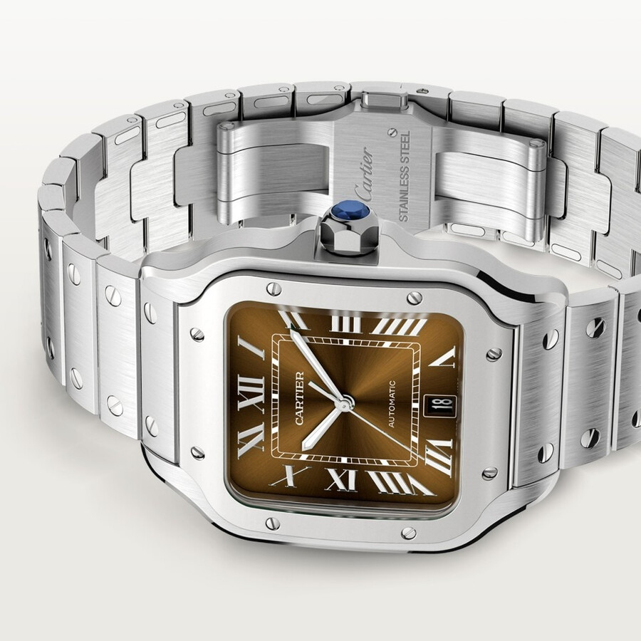 santos de cartier watch