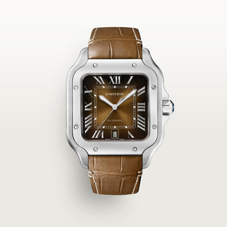 santos de cartier watch