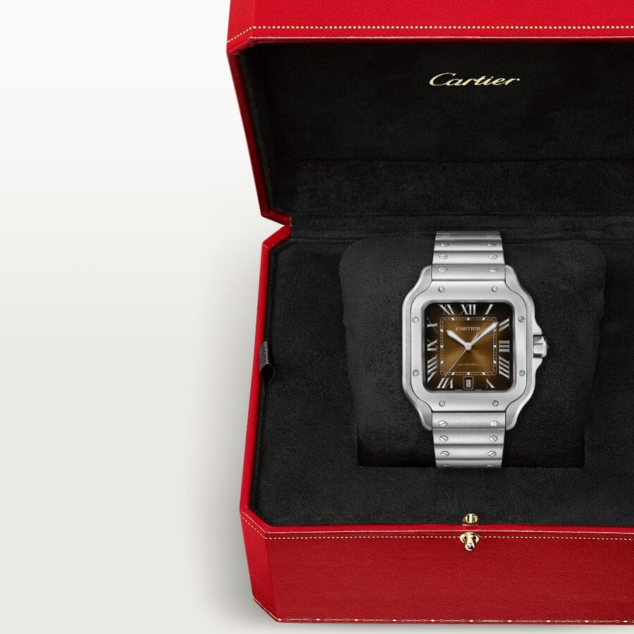 santos de cartier watch