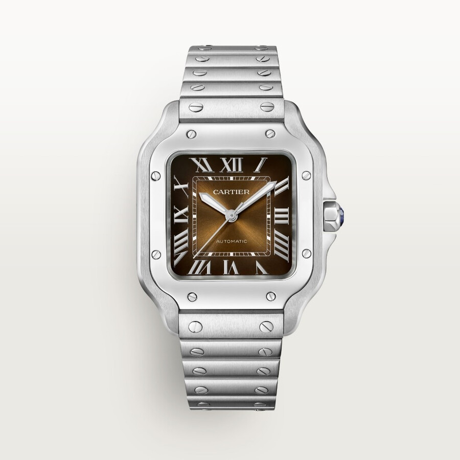 santos de cartier watch