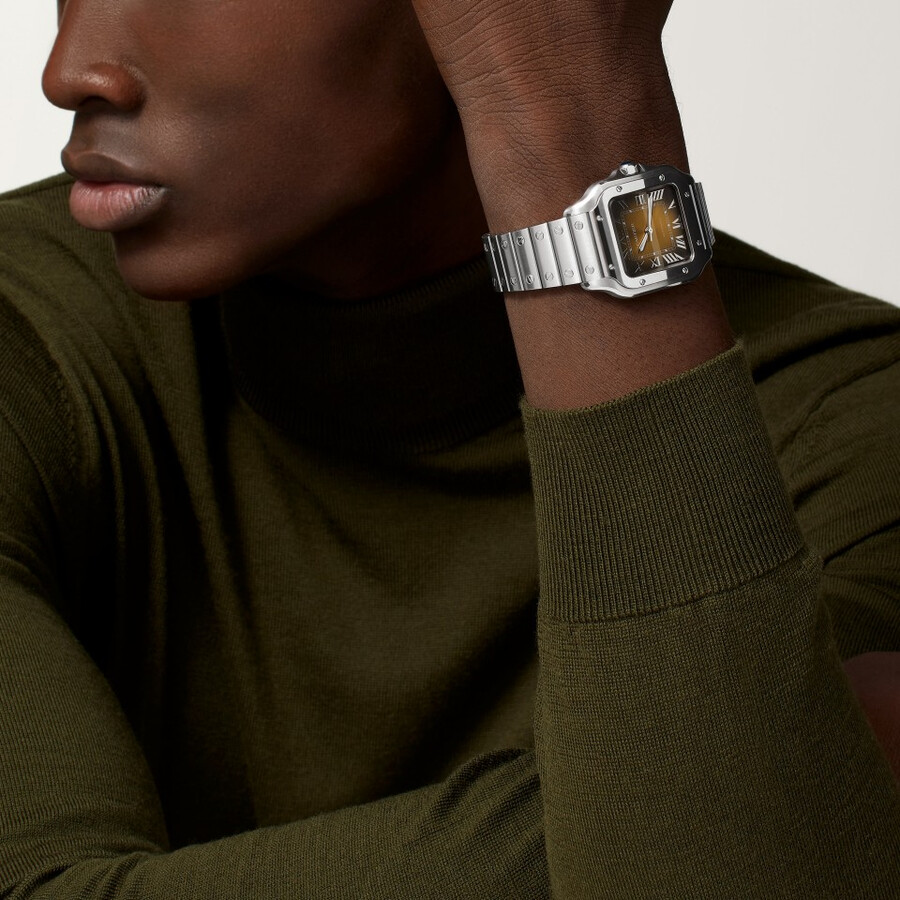 santos de cartier watch