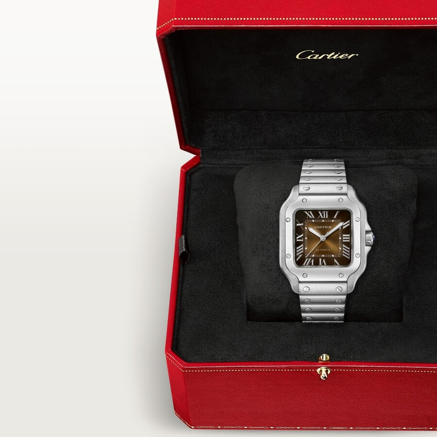 santos de cartier watch