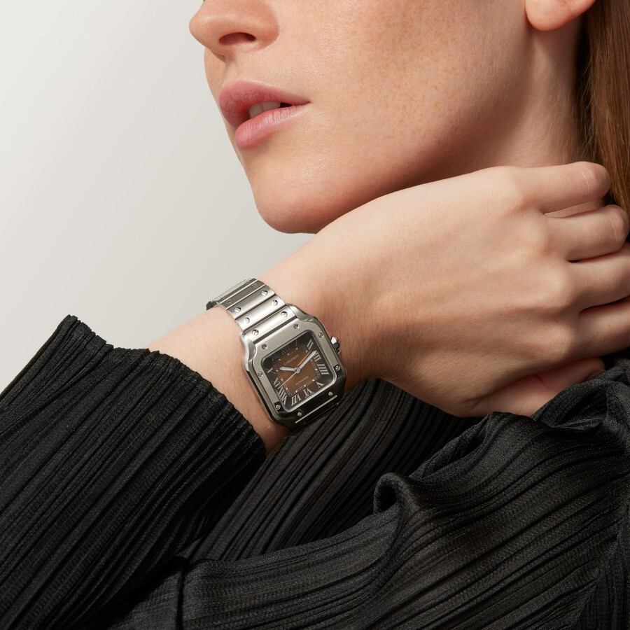 santos de cartier watch