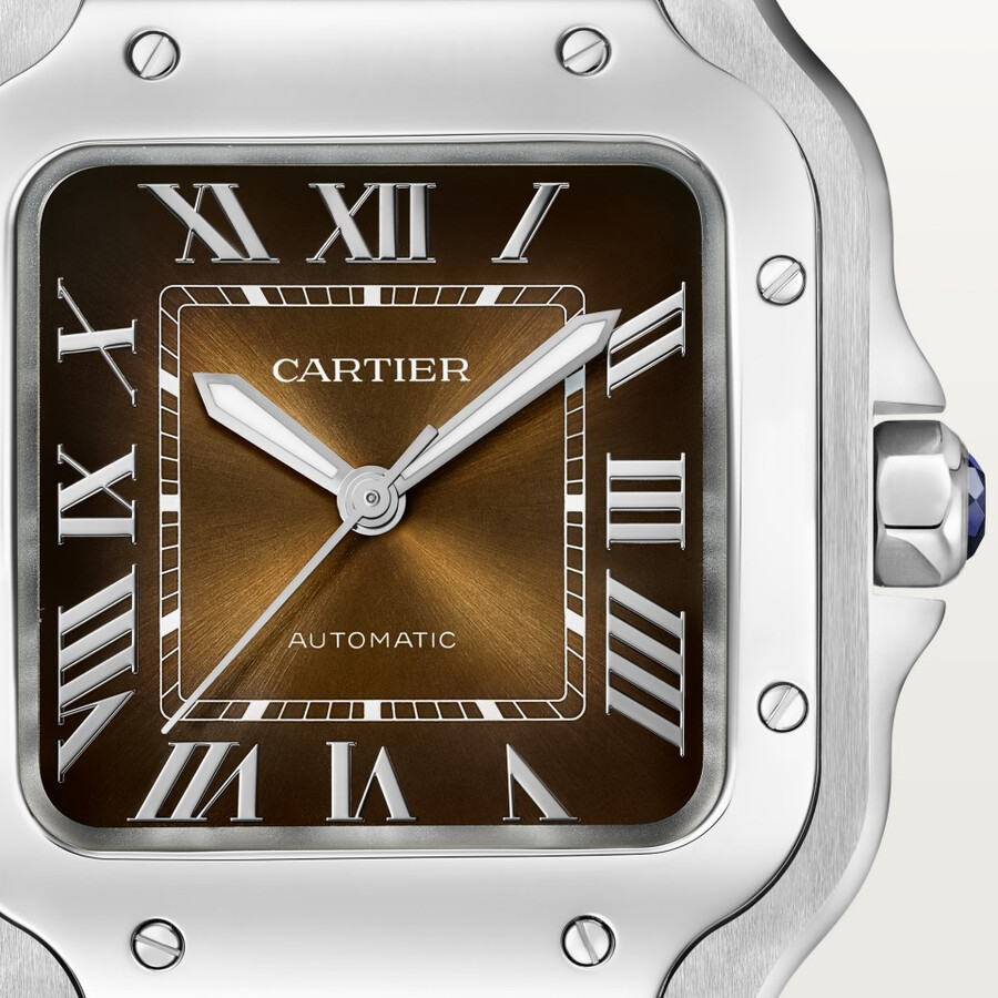 santos de cartier watch