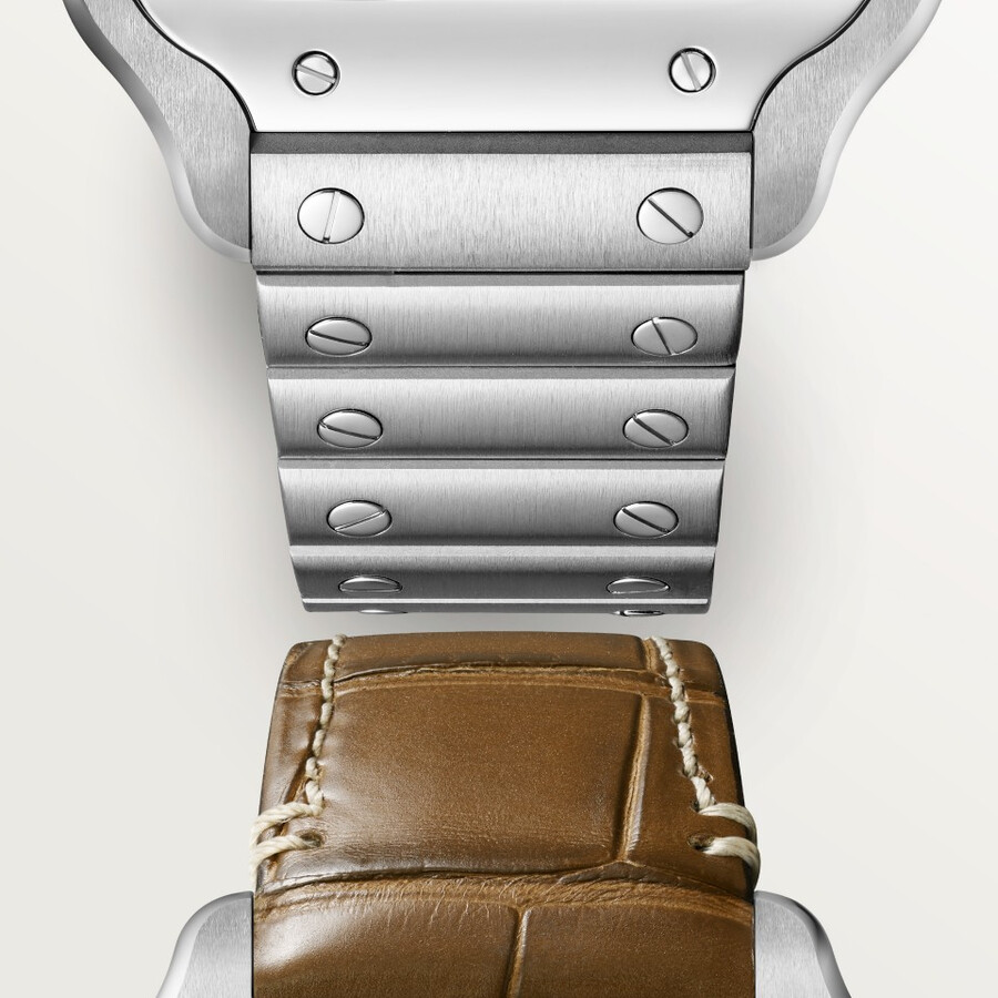 santos de cartier watch