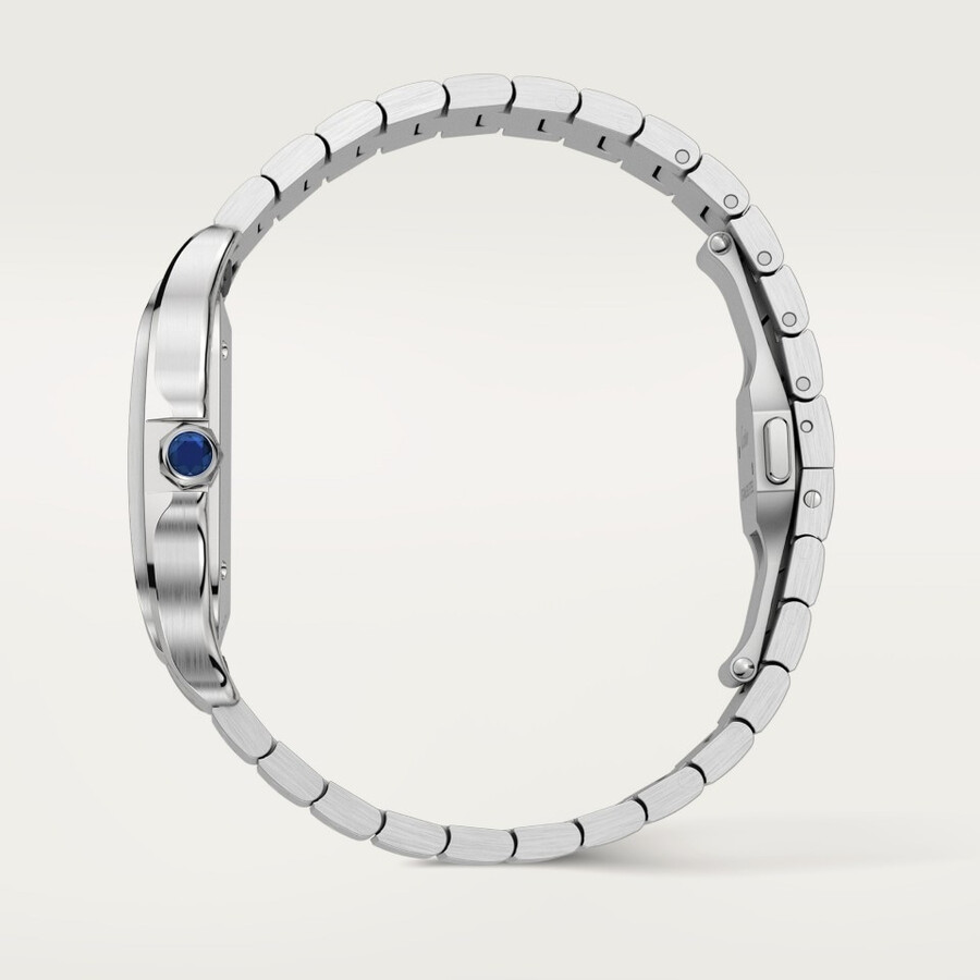santos de cartier watch