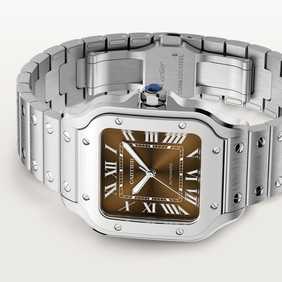 santos de cartier watch