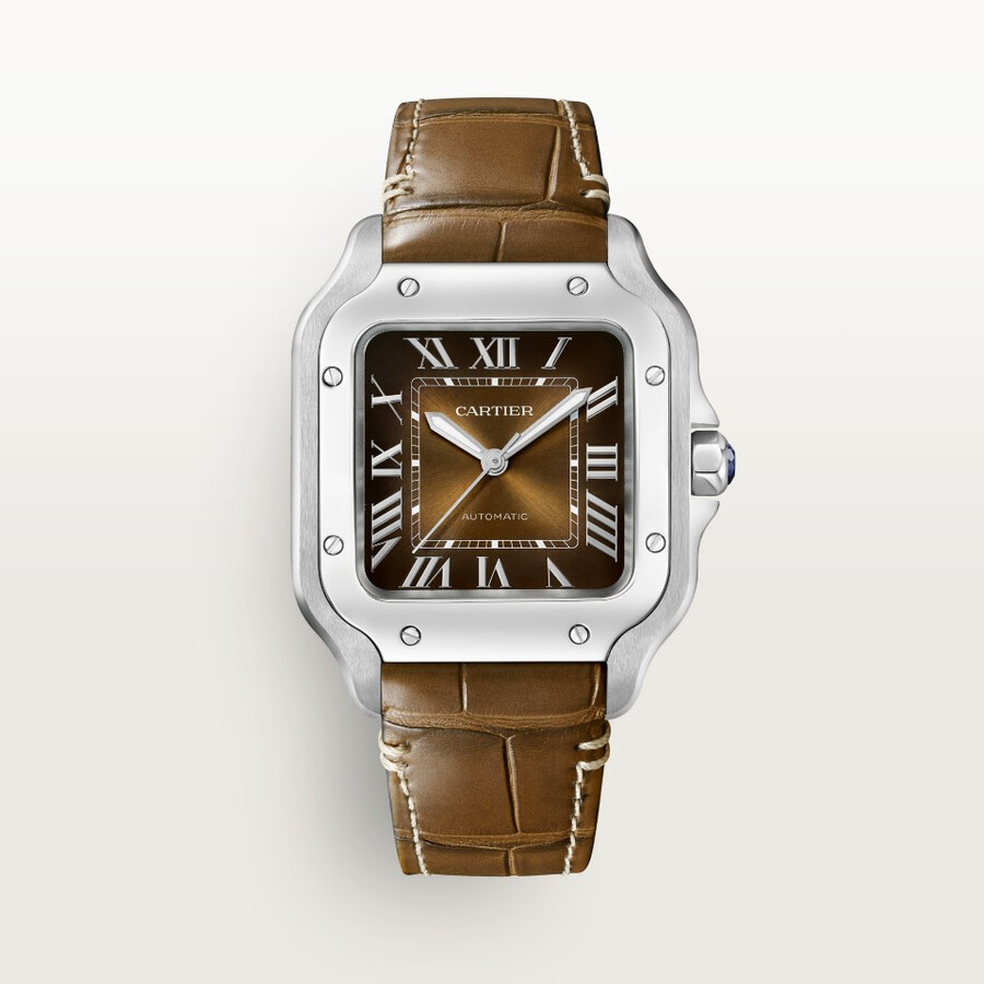 santos de cartier watch