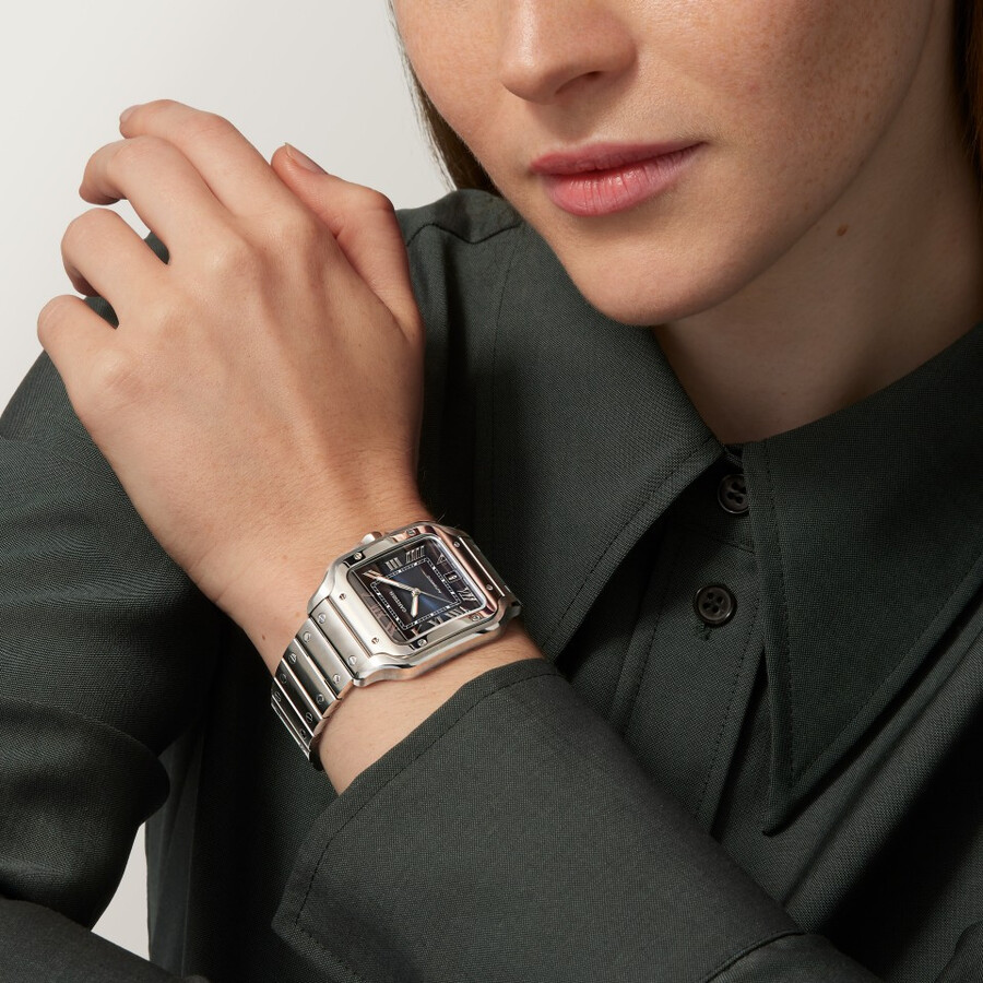 santos de cartier watch