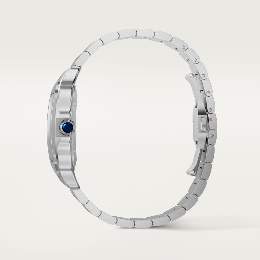 santos de cartier watch