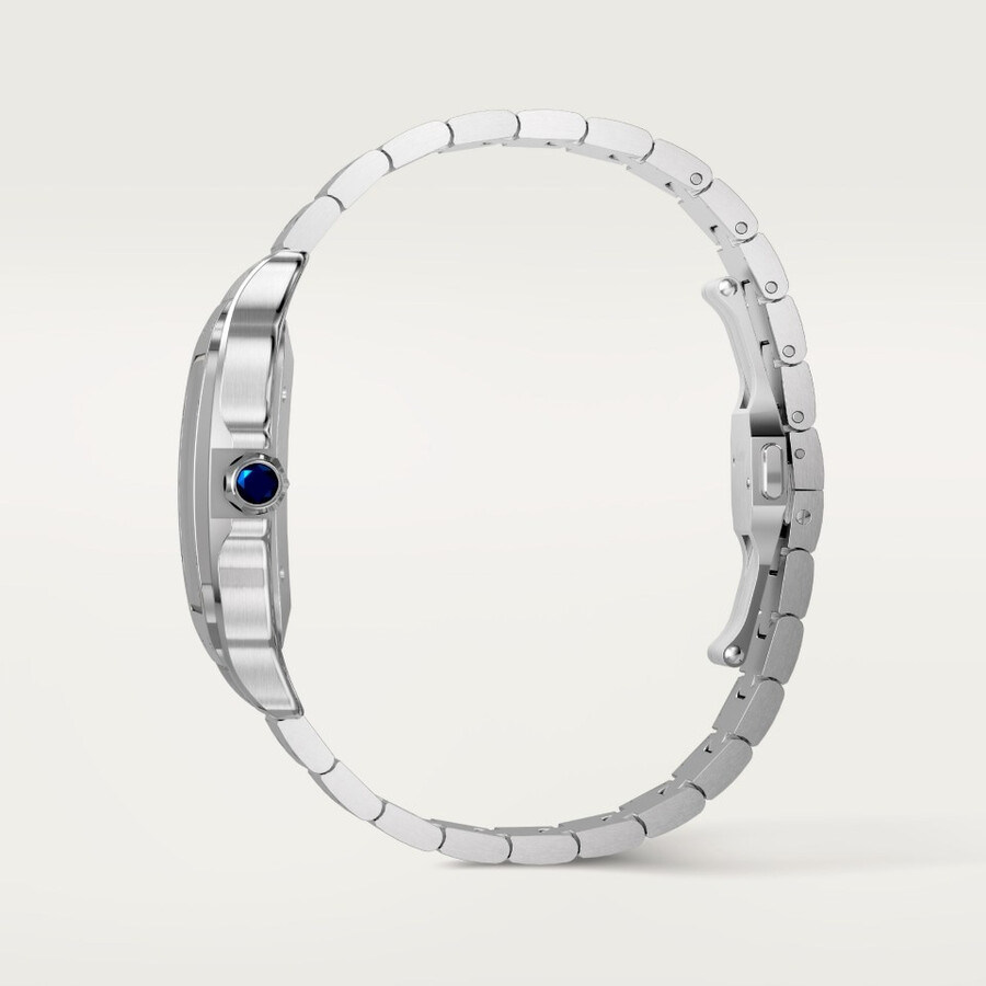 santos de cartier watch